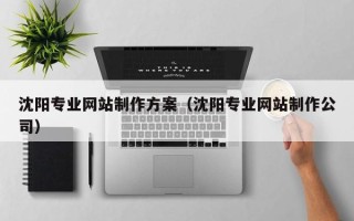 库尔勒沈阳专业网站制作方案（沈阳专业网站制作公司）